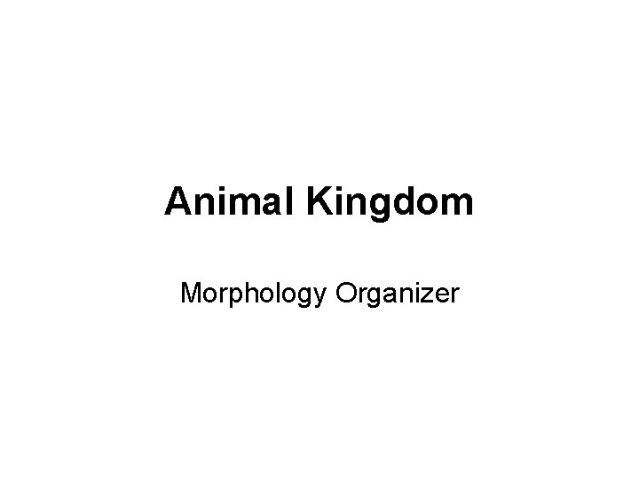 Animal Kingdom Morphology Organizer 