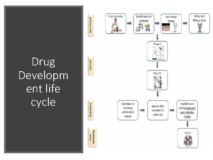 Drug Developm ent life cycle 