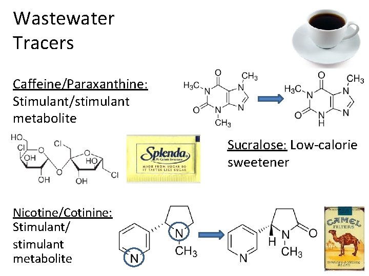 Wastewater Tracers Caffeine/Paraxanthine: Stimulant/stimulant metabolite Sucralose: Low-calorie sweetener Nicotine/Cotinine: Stimulant/ stimulant metabolite Wastewater Tracers Caffeine/Paraxanthine: Stimulant/stimulant metabolite Sucralose: Low-calorie sweetener Nicotine/Cotinine: Stimulant/ stimulant metabolite