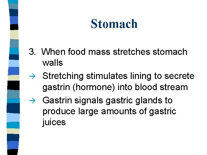 Stomach 3. When food mass stretches stomach walls Stretching stimulates lining to secrete gastrin