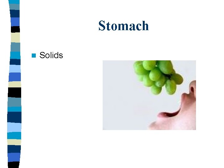Stomach n Solids 