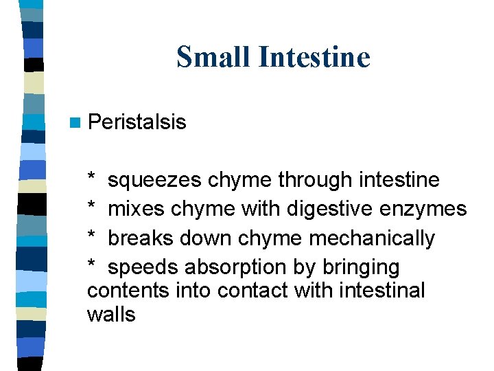 Small Intestine n Peristalsis * squeezes chyme through intestine * mixes chyme with digestive