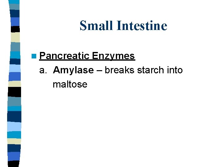 Small Intestine n Pancreatic Enzymes a. Amylase – breaks starch into maltose 