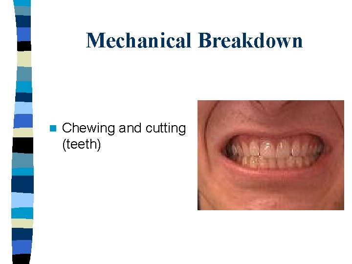 Mechanical Breakdown n Chewing and cutting (teeth) 