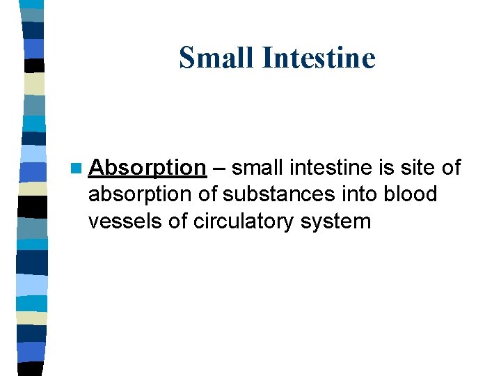 Small Intestine n Absorption – small intestine is site of absorption of substances into