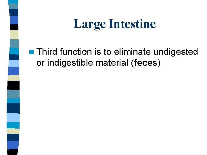 Large Intestine n Third function is to eliminate undigested or indigestible material (feces) 