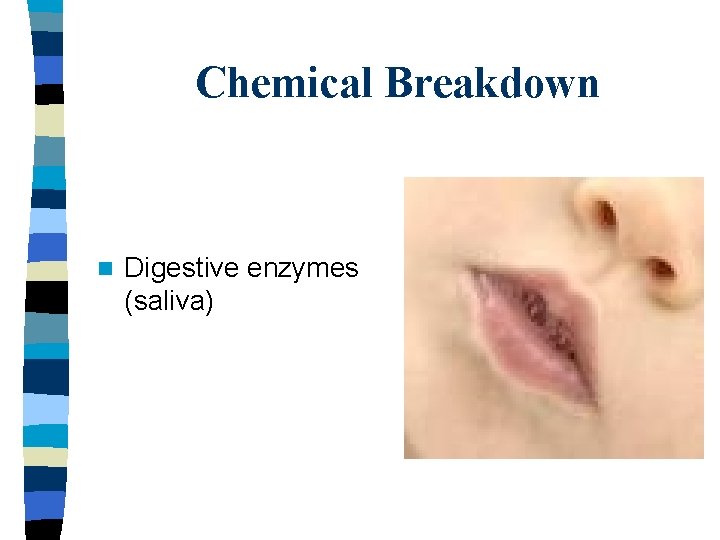 Chemical Breakdown n Digestive enzymes (saliva) 