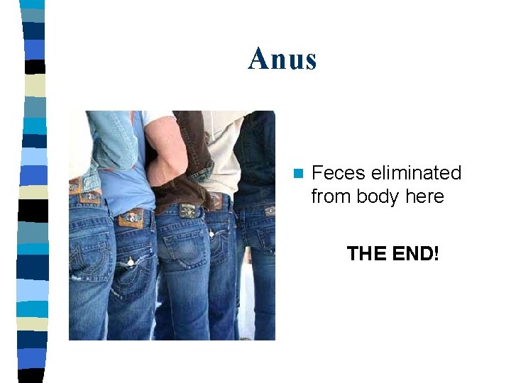 Anus n Feces eliminated from body here THE END! 