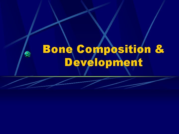 Bone Composition & Development 