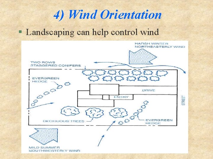 4) Wind Orientation § Landscaping can help control wind 