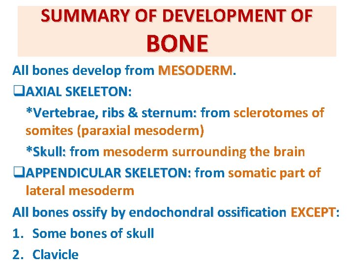 SUMMARY OF DEVELOPMENT OF BONE All bones develop from MESODERM q. AXIAL SKELETON: *Vertebrae,