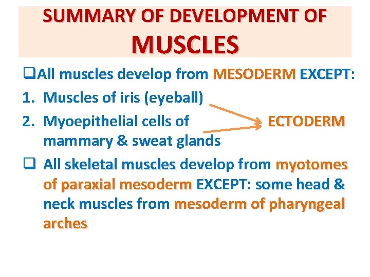 SUMMARY OF DEVELOPMENT OF MUSCLES q. All muscles develop from MESODERM EXCEPT: EXCEPT 1.