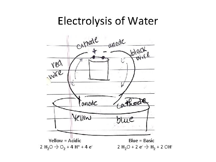 Electrolysis of Water Yellow = Acidic 2 H 2 O → O 2 +