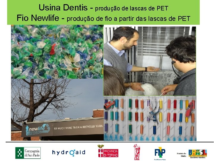 Usina Dentis - produção de lascas de PET Fio Newlife - produção de fio