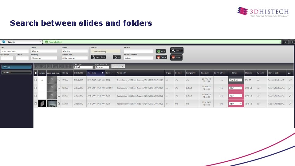 Search between slides and folders 