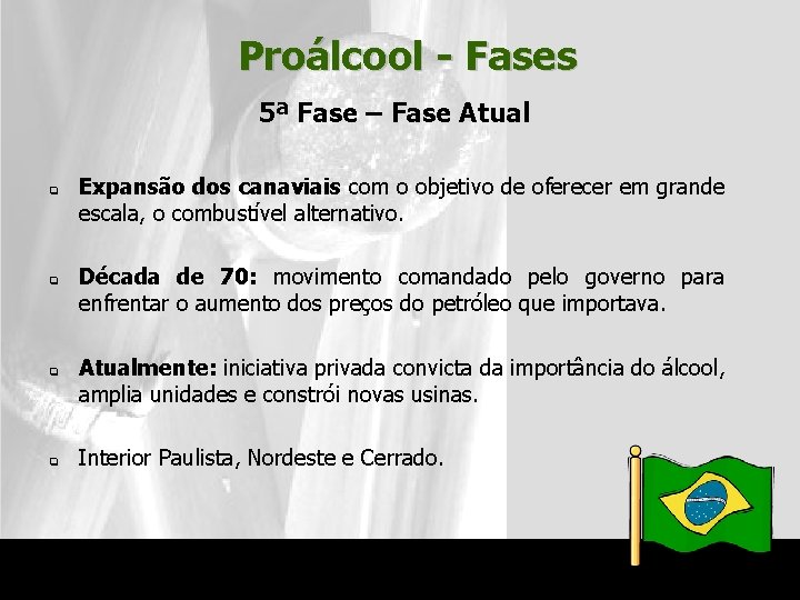 Proálcool - Fases 5ª Fase – Fase Atual q q Expansão dos canaviais com