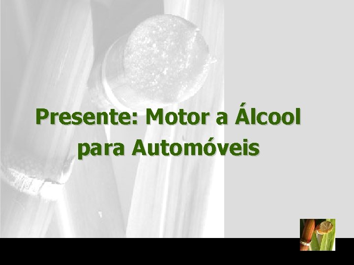 Presente: Motor a Álcool para Automóveis 