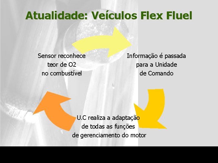 Atualidade: Veículos Flex Fluel Sensor reconhece teor de O 2 no combustível Informação é