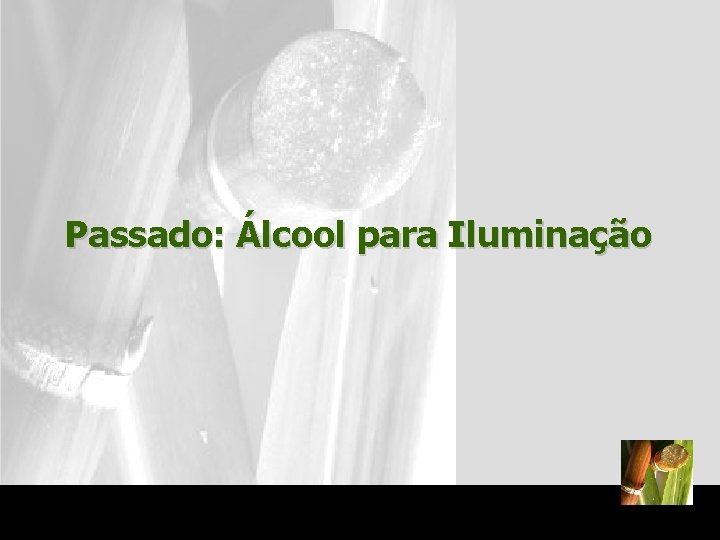 Passado: Álcool para Iluminação 