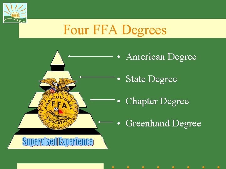 Four FFA Degrees • American Degree • State Degree • Chapter Degree • Greenhand