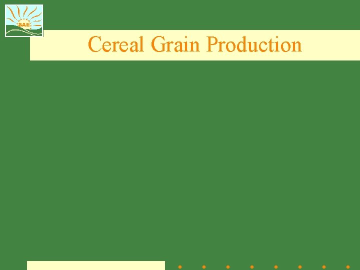 Cereal Grain Production 