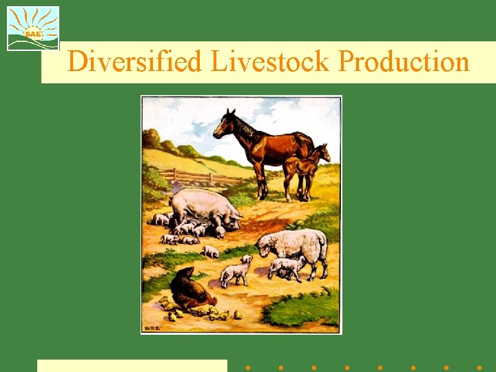 Diversified Livestock Production 