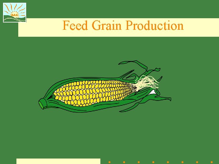 Feed Grain Production 