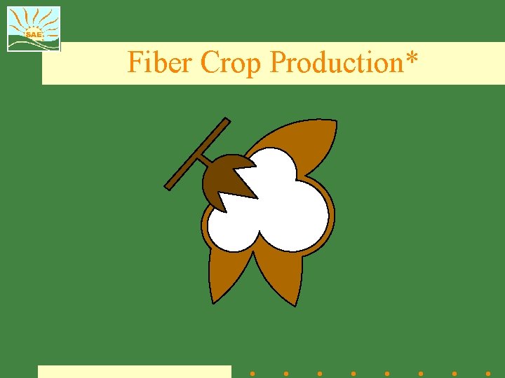 Fiber Crop Production* 