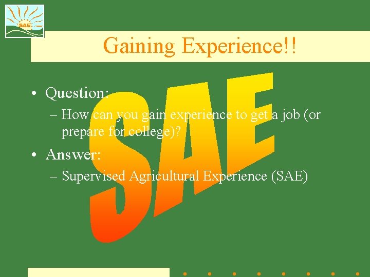 Gaining Experience!! • Question: – How can you gain experience to get a job