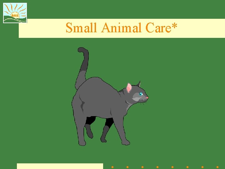 Small Animal Care* 