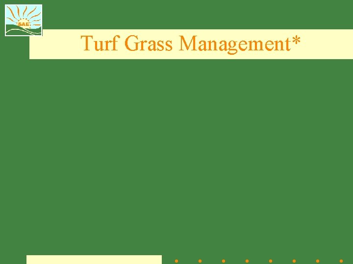 Turf Grass Management* 