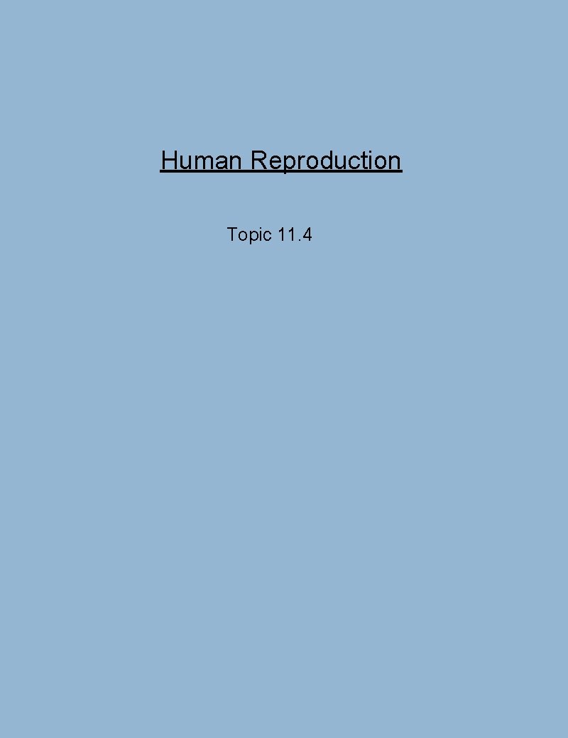 Human Reproduction Topic 11. 4 