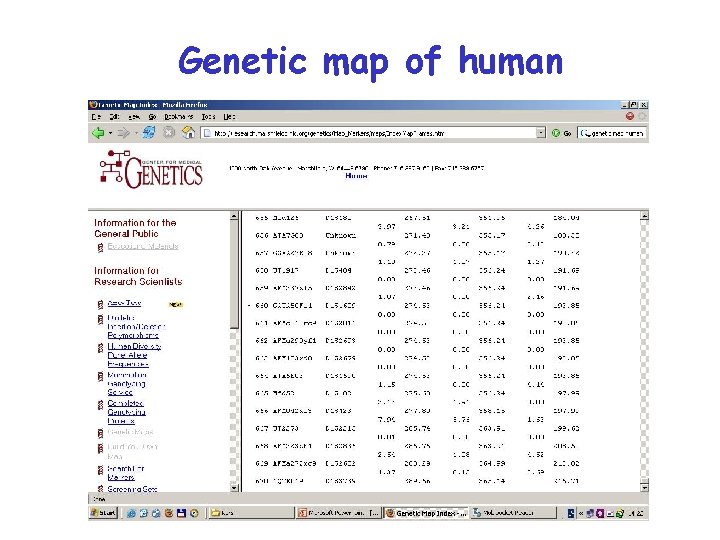 Genetic map of human 