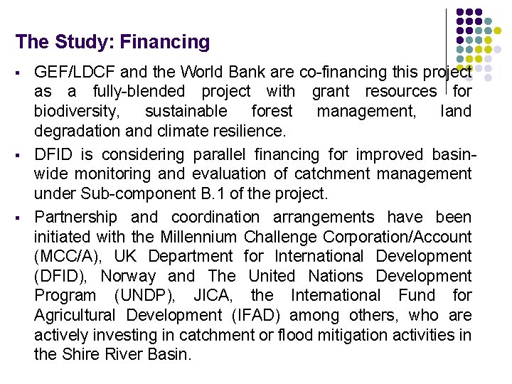 The Study: Financing § § § GEF/LDCF and the World Bank are co-financing this