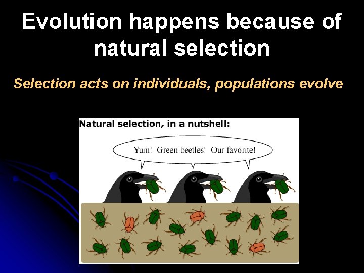 Evolution happens because of natural selection Selection acts on individuals, populations evolve 