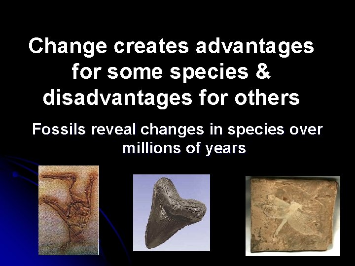 Change creates advantages for some species & disadvantages for others Fossils reveal changes in