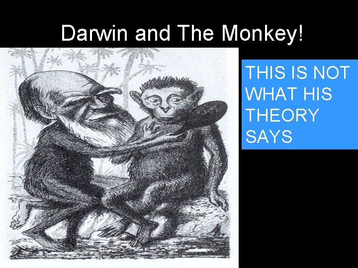 Darwin and The Monkey! THIS IS NOT WHAT HIS THEORY SAYS 