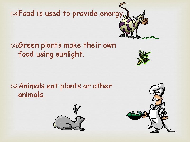  Food is used to provide energy. Green plants make their own food using
