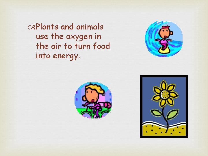  Plants and animals use the oxygen in the air to turn food into