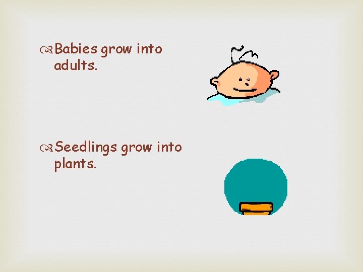  Babies grow into adults. Seedlings grow into plants. 