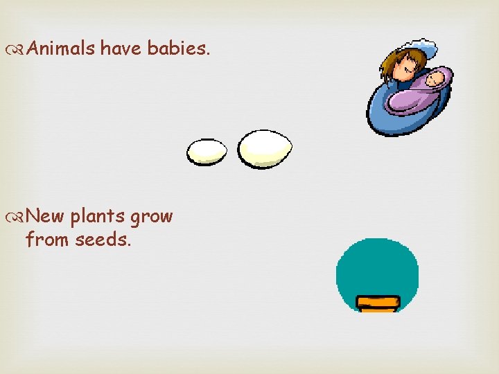  Animals have babies. New plants grow from seeds. 