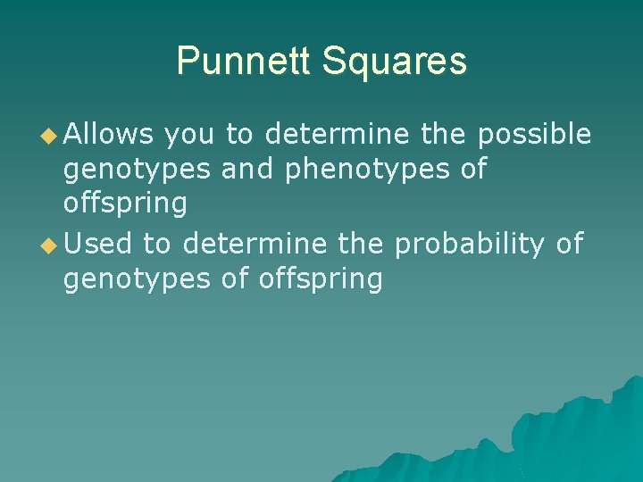 Punnett Squares u Allows you to determine the possible genotypes and phenotypes of offspring