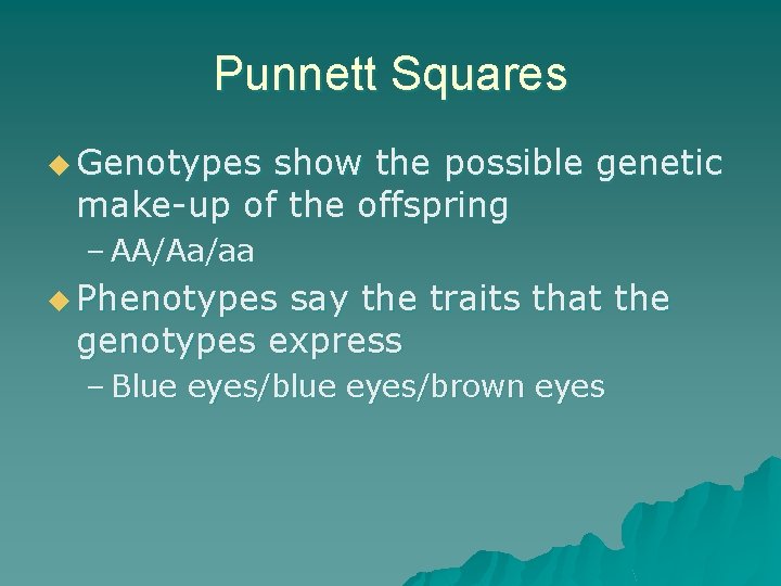 Punnett Squares u Genotypes show the possible genetic make-up of the offspring – AA/Aa/aa
