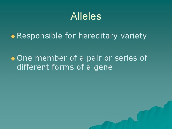 Alleles u Responsible u One for hereditary variety member of a pair or series
