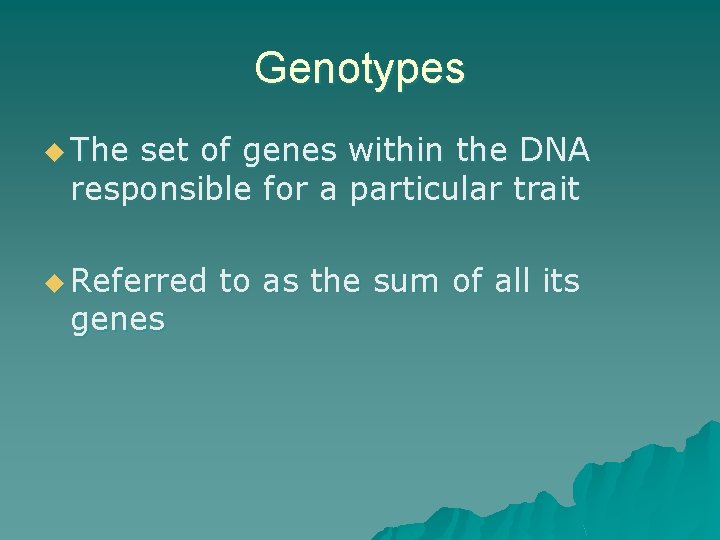 Genotypes u The set of genes within the DNA responsible for a particular trait
