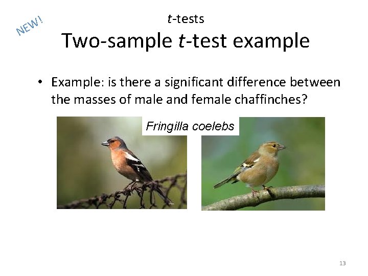 N ! W E t-tests Two-sample t-test example • Example: is there a significant