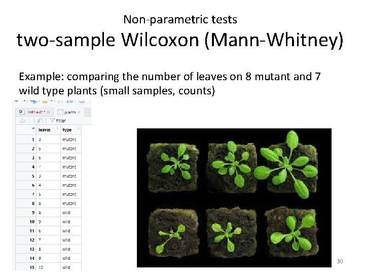 Non-parametric tests two-sample Wilcoxon (Mann-Whitney) Example: comparing the number of leaves on 8 mutant