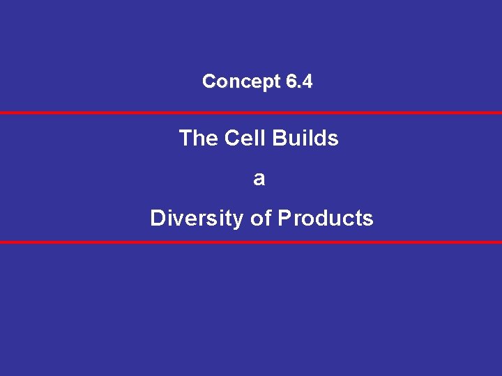 Concept 6. 4 The Cell Builds a Diversity of Products 