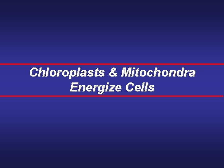 Chloroplasts & Mitochondra Energize Cells 