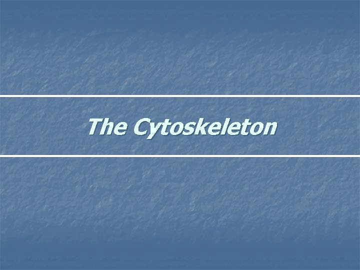 The Cytoskeleton 